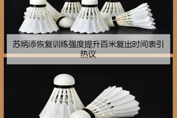 苏炳添恢复训练强度提升百米复出时间表引热议