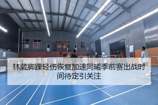 林葳脚踝轻伤恢复加速同曦季前赛出战时间待定引关注